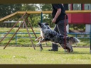 IMG 2050