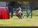 IMG 2081