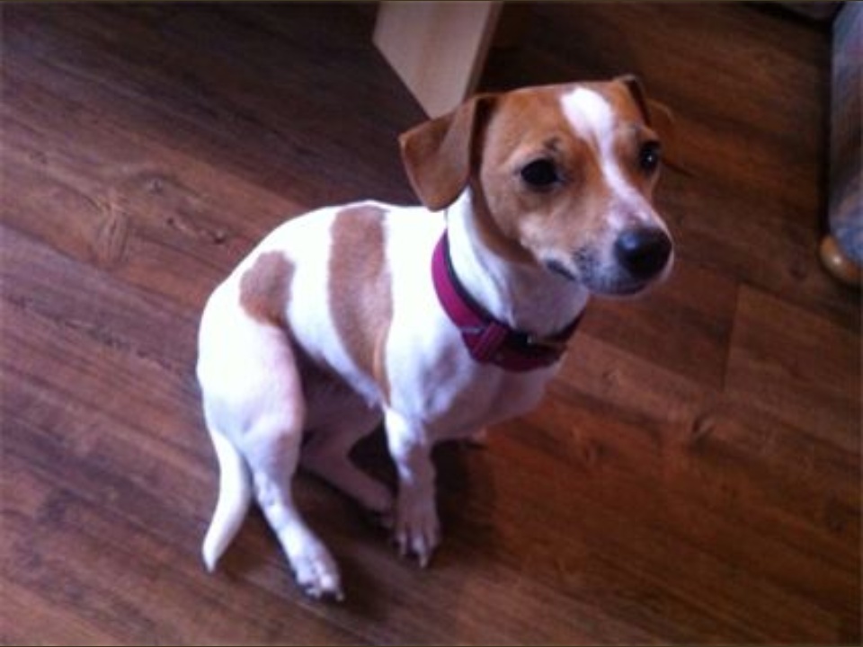 0 0 0 0 424 317 csupload 66539423 1