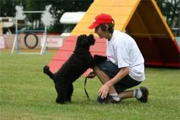 0 0 0 0 352 234 csupload 63053270